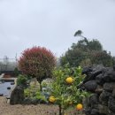 윤서네펜션 이미지