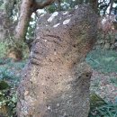 회천동 석상 이미지