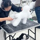 J애견미용 이미지