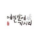 메밀밭에가시리 이미지