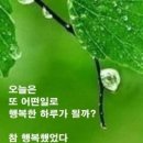 행복한 휴일되세여 이미지