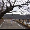 송집수효자각 이미지