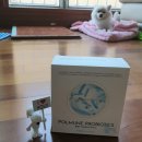 리잔피오