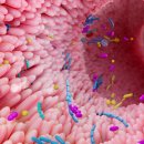 아이또래어린이집 이미지