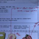 GTQi 일러스트 1급 독학으로 시험 합격한 후기 (공부방법, 시험꿀팁)