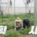 성태농장 이미지