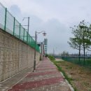 충장인조잔디구장 | 행신동 충장공원 걷기운동 코스 추천(ft.축구장 테니스장 족구장 미니축구장 바닥분수)