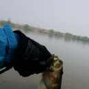 기세곡천 이미지