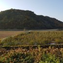 광재농장 이미지