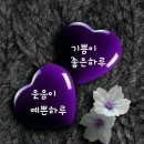 빨래하는날 Daum카페