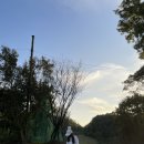 주) 삼구 골프클럽 | [후기] 드라이버 3번,어프로치, 벙커 연습 가능한 경기 화성 삼구골프클럽 파3 후기