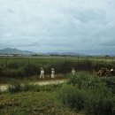 수원-1953 이미지