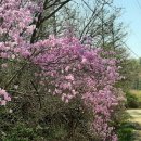 양동농장 이미지