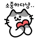 견생냥품 이미지