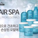 라인업헤어샾