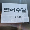 모테나시료칸 | 창원 가로수길 연어수길🍣 연어초밥 진짜 미쳤다… (솔직후기)