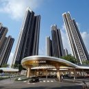 뉴올리브숲 이미지