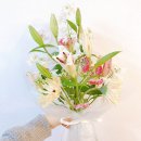 꼼지아트 이미지