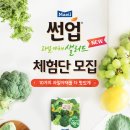 과일야채 이미지