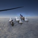 꽃들의이야기 이미지