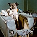 우주동물병원 이미지