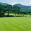 청화골프클럽 | 남촌cc 회원권 라운딩 후기 날씨 시세
