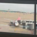 코타서비스 | 인천 코타키나발루 직항 에어아시아 탑승 및 서비스 실망 후기(AK1624)