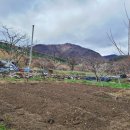 치상농장 이미지