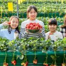 서진농업 이미지