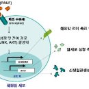 주식회사 렉스바이오 이미지