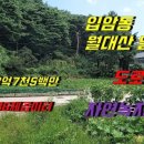 강릉입암공인중개사사무소 네이버블로그