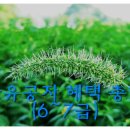 위드유 행정사사무소 이미지