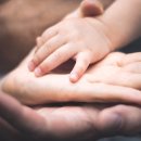 다래실천 이미지