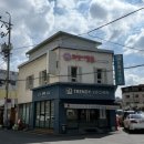 고양이발 | [대구 패디플래닝] 고양이 발톱 만족도 100% 발각질 관리받고 온 후기