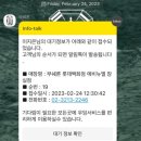 부쉐론 웨딩링 골든듀 타임리스 구매 후기