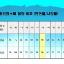 천연꿀과 사양꿀의 탄소 동위원소 비교표 이미지