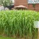 상가농장 이미지