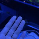 [중국/상하이] 너무너무너무 재밌었던 &lt;마시청 서커스&gt; 후기