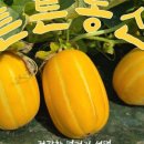 성주농산 - 북구 칠곡중앙대로 412 | 성주농산