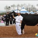 대흥목장 이미지