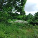 케이비 푸드 이미지