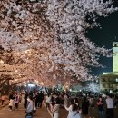 평택대학교 이미지