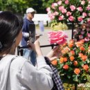 서울의 정원’으로 변신한 뚝섬한강공원 이미지