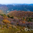 아킴코스