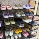 유폴 애견셀프목욕, 애견미용, 애견용품 직영점 이미지