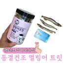 펫티즈 이미지