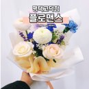 플로맨스