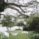 우쿨렐레와 함께하는 하루 이미지