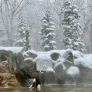 혼탕 | 일본 겨울 삿포로 가볼만한 곳 추천 야외 노천탕 비에이 백은장 온천 혼탕 후기