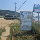 궁평항 궁평해송군락지 차박 주차장 후기